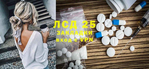 индика Абаза