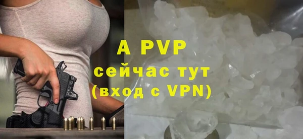 индика Абаза
