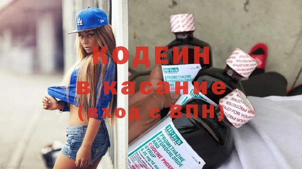 индика Абаза