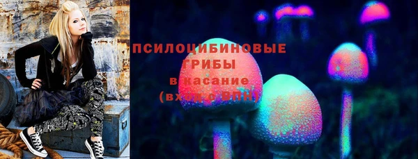 твердый Алексеевка