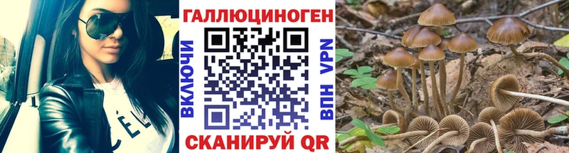 Псилоцибиновые грибы Psilocybine cubensis  что такое   Магадан 