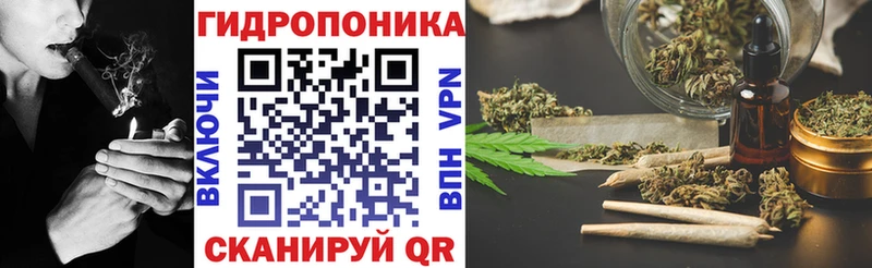 Каннабис индика Магадан